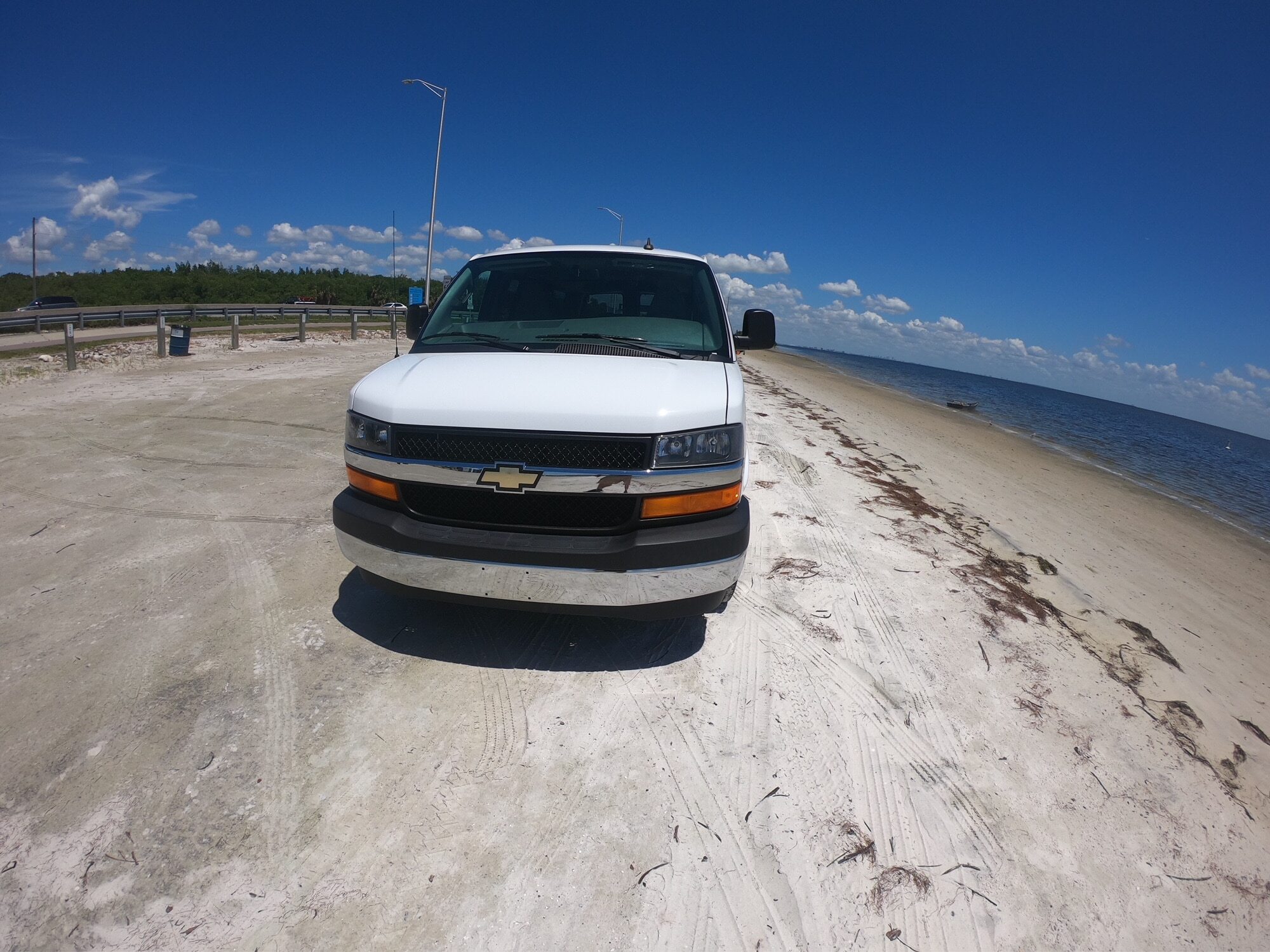 Photo #11